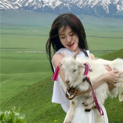 惨痛的战争 封面
